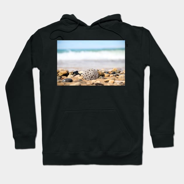 Petoskey Stone on Lake Michigan Beach Hoodie by opptop